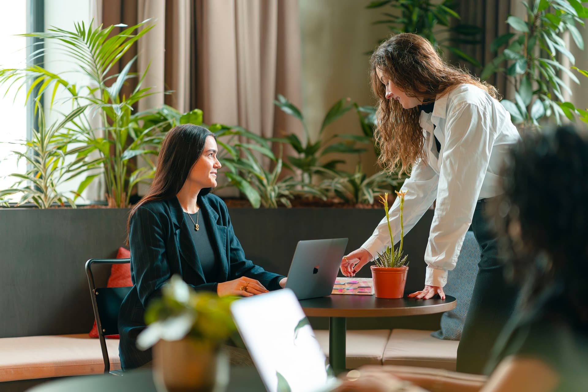 Het schikkingsgesprek